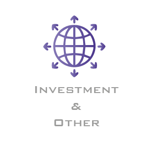 Investment &amp; Other